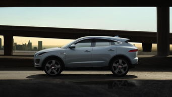 pace(pace3),第1张 pace(pace3),pace(pace3),第1张