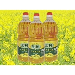 运动型汽车（运动型汽车有哪些）,运动型汽车（运动型汽车有哪些）,第1张