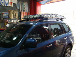 新森林人(新森林人行李架拆装教程),第1张 新森林人(新森林人行李架拆装教程),新森林人(新森林人行李架拆装教程),第1张