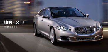 捷豹标志(捷豹标志立体豹子多少钱),第1张 捷豹标志(捷豹标志立体豹子多少钱),捷豹标志(捷豹标志立体豹子多少钱),第1张