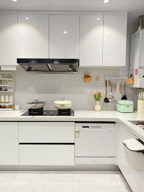 厨房柜门(厨房柜门用什么材质材料比较好),第1张 厨房柜门(厨房柜门用什么材质材料比较好),厨房柜门(厨房柜门用什么材质材料比较好),第1张