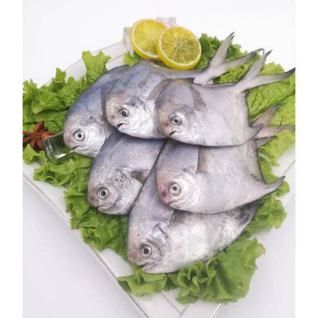 炒花甲的正确方法(炒花甲肉家常做法最简单做法),第3张 炒花甲的正确方法(炒花甲肉家常做法最简单做法),炒花甲的正确方法(炒花甲肉家常做法最简单做法),第3张