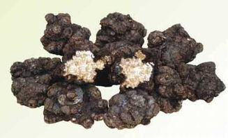 炒僵蚕的功效与作用(川芎的功效与作用),第1张 炒僵蚕的功效与作用(川芎的功效与作用),炒僵蚕的功效与作用(川芎的功效与作用),第1张