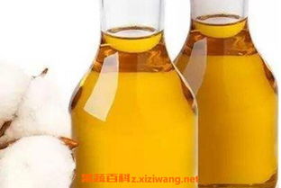 红花油的功效与作用（红花籽油的功效与作用）,红花油的功效与作用（红花籽油的功效与作用）,第3张