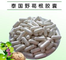 葛根图片植物图片(葛根图片?),第1张 葛根图片植物图片(葛根图片?),葛根图片植物图片(葛根图片?),第1张