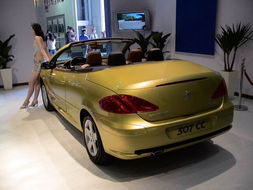 307cc（307Cc有LSD吗）,307cc（307Cc有LSD吗）,第2张