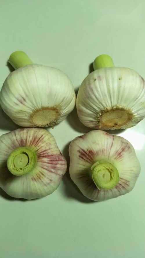 办公室背景墙设计:三洋彩电“出局”中国市场,消费者购机难题待解,第2张 办公室背景墙设计:三洋彩电“出局”中国市场,消费者购机难题待解,办公室背景墙设计:三洋彩电“出局”中国市场,消费者购机难题待解,第2张