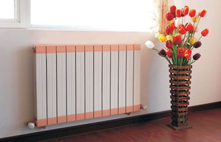 上海办公楼设计:烤红薯的无油低卡技巧,第2张 上海办公楼设计:烤红薯的无油低卡技巧,上海办公楼设计:烤红薯的无油低卡技巧,第2张