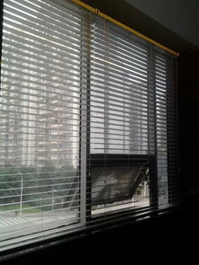 百叶窗帘图片(百叶窗帘图片高清大图),第2张 百叶窗帘图片(百叶窗帘图片高清大图),百叶窗帘图片(百叶窗帘图片高清大图),第2张