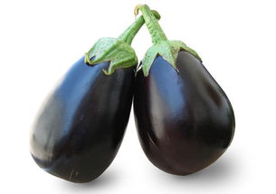 茄子的营养价值（紫色茄子的营养价值）,茄子的营养价值（紫色茄子的营养价值）,第1张