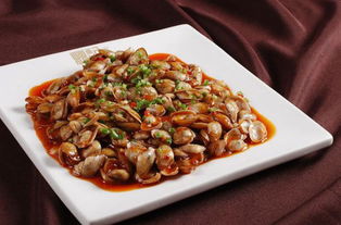 上海办公室装修:如何选择适合自己的冰箱?,第2张 上海办公室装修:如何选择适合自己的冰箱?,上海办公室装修:如何选择适合自己的冰箱?,第2张