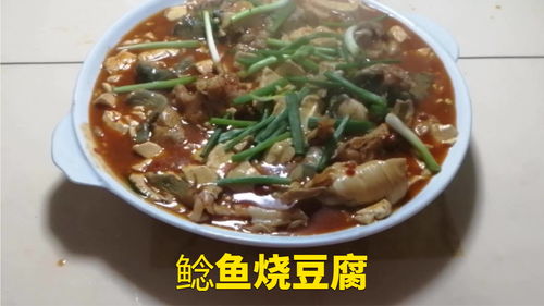 酱焖鲶鱼的家常做法（酱焖鲶鱼的家常做法窍门）,酱焖鲶鱼的家常做法（酱焖鲶鱼的家常做法窍门）,第3张