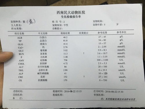 肾病食疗菜谱(肌酐高忌口一览表),第3张 肾病食疗菜谱(肌酐高忌口一览表),肾病食疗菜谱(肌酐高忌口一览表),第3张