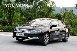 办公装修:水杉盆景:打造居家绿意生活,第3张 办公装修:水杉盆景:打造居家绿意生活,办公装修:水杉盆景:打造居家绿意生活,第3张