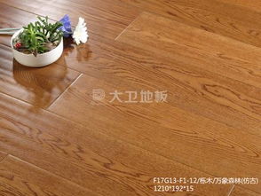 金典地板(金典地板f4星),第1张 金典地板(金典地板f4星),金典地板(金典地板f4星),第1张