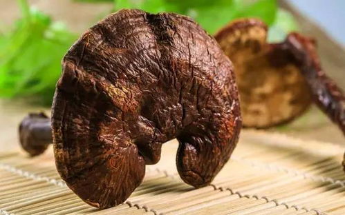 灵芝孢子粉的吃法(灵芝的正确吃法与用量),第2张 灵芝孢子粉的吃法(灵芝的正确吃法与用量),灵芝孢子粉的吃法(灵芝的正确吃法与用量),第2张