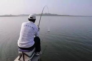 如何钓大鱼(水库如何钓大鱼),第3张 如何钓大鱼(水库如何钓大鱼),如何钓大鱼(水库如何钓大鱼),第3张