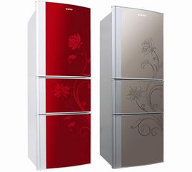 索伊冰箱图片（索伊冰箱图片高清）,索伊冰箱图片（索伊冰箱图片高清）,第2张