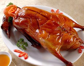 法拉利自行车(法拉利自行车专卖店),第1张 法拉利自行车(法拉利自行车专卖店),法拉利自行车(法拉利自行车专卖店),第1张