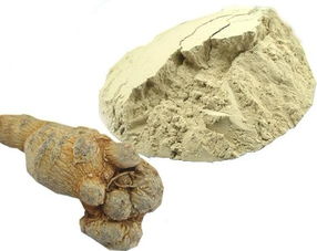 土茯苓的功效与作用（土茯苓的功效与作用用法）,土茯苓的功效与作用（土茯苓的功效与作用用法）,第1张