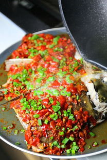 上海办公装修设计:探讨沉香木的神奇之处:一种来自自然的药材,第1张 上海办公装修设计:探讨沉香木的神奇之处:一种来自自然的药材,上海办公装修设计:探讨沉香木的神奇之处:一种来自自然的药材,第1张