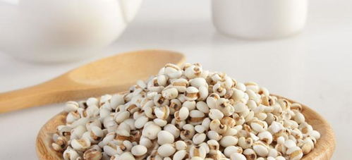 薏米怎么吃去湿气(薏米怎么吃去湿气效果好百度),第1张 薏米怎么吃去湿气(薏米怎么吃去湿气效果好百度),薏米怎么吃去湿气(薏米怎么吃去湿气效果好百度),第1张