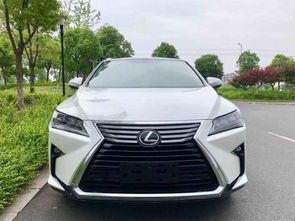 罗浮宫瓷砖(罗浮宫瓷砖价格 价格表),第2张 罗浮宫瓷砖(罗浮宫瓷砖价格 价格表),罗浮宫瓷砖(罗浮宫瓷砖价格 价格表),第2张