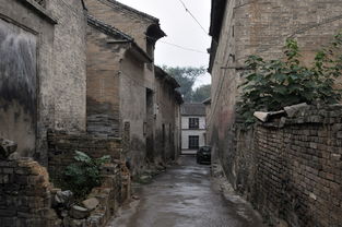 上海办公室设计公司:如何维护和保养你的厨房电器:电磁炉篇,第1张 上海办公室设计公司:如何维护和保养你的厨房电器:电磁炉篇,上海办公室设计公司:如何维护和保养你的厨房电器:电磁炉篇,第1张