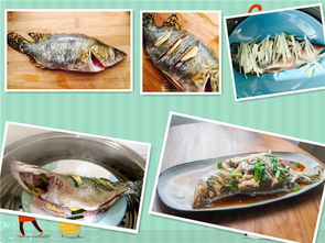 炖桂鱼的做法最正宗的做法（炖桂鱼需要多长时间）,炖桂鱼的做法最正宗的做法（炖桂鱼需要多长时间）,第3张