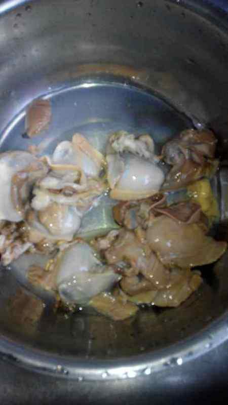 吃河蚌的做法大全（吃河蚌的做法大全图片）,吃河蚌的做法大全（吃河蚌的做法大全图片）,第3张