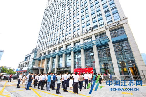 雅致t(雅致集团),第1张 雅致t(雅致集团),雅致t(雅致集团),第1张