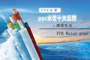 吃药时间(吃药时间饭前还是饭后),第1张 吃药时间(吃药时间饭前还是饭后),吃药时间(吃药时间饭前还是饭后),第1张