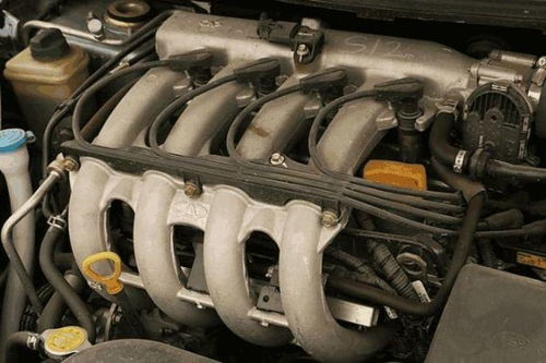 普通面粉是高筋还是低筋（普通面粉算高筋面粉吗）,普通面粉是高筋还是低筋（普通面粉算高筋面粉吗）,第3张