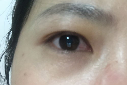 办公楼装潢:如何选择适合自己的品质保障产品?——海尔保鲜柜的选购指南,第2张 办公楼装潢:如何选择适合自己的品质保障产品?——海尔保鲜柜的选购指南,办公楼装潢:如何选择适合自己的品质保障产品?——海尔保鲜柜的选购指南,第2张