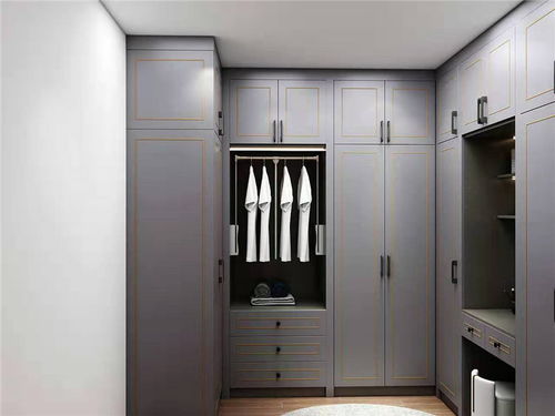 柜门图片(摩登灰衣柜门图片),第3张 柜门图片(摩登灰衣柜门图片),柜门图片(摩登灰衣柜门图片),第3张