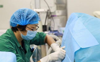 上海办公室装潢设计:如何辨别玉石的真伪?,第3张 上海办公室装潢设计:如何辨别玉石的真伪?,上海办公室装潢设计:如何辨别玉石的真伪?,第3张