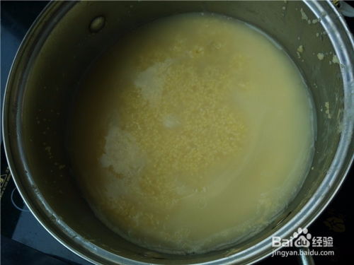 海参小米粥的做法(海参小米粥的做法窍门),第2张 海参小米粥的做法(海参小米粥的做法窍门),海参小米粥的做法(海参小米粥的做法窍门),第2张