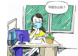 装修污染的危害(装修污染 危害),第2张 装修污染的危害(装修污染 危害),装修污染的危害(装修污染 危害),第2张