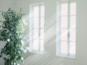 上海市办公室装修:沈阳楼市调控:限购令的实施对市场的影响,第3张 上海市办公室装修:沈阳楼市调控:限购令的实施对市场的影响,上海市办公室装修:沈阳楼市调控:限购令的实施对市场的影响,第3张