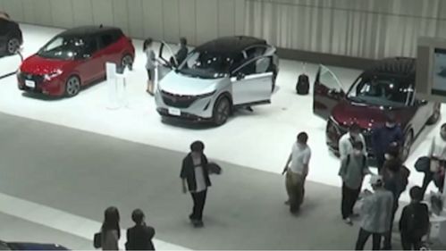 电动小汽车(电动小汽车在哪一年后为市场销售的主要部分),第1张 电动小汽车(电动小汽车在哪一年后为市场销售的主要部分),电动小汽车(电动小汽车在哪一年后为市场销售的主要部分),第1张