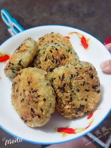 鳄鱼龟论坛(鳄鱼龟市场价),第3张 鳄鱼龟论坛(鳄鱼龟市场价),鳄鱼龟论坛(鳄鱼龟市场价),第3张