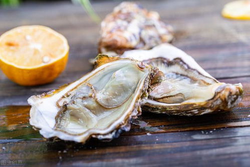 肇庆交通违章查询(肇庆交通违章查询网),第1张 肇庆交通违章查询(肇庆交通违章查询网),肇庆交通违章查询(肇庆交通违章查询网),第1张