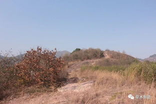 中国名小吃(中国名小吃加盟连锁),第1张 中国名小吃(中国名小吃加盟连锁),中国名小吃(中国名小吃加盟连锁),第1张