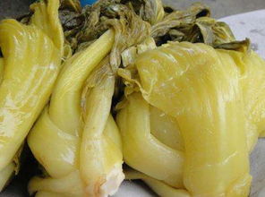 芥菜丝的腌制方法（芥菜丝的腌制方法及步骤）,芥菜丝的腌制方法（芥菜丝的腌制方法及步骤）,第2张