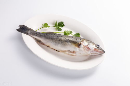 上海市办公室装修:为您带来海尔冰箱冷藏室结冰问题的解决方案!,第2张 上海市办公室装修:为您带来海尔冰箱冷藏室结冰问题的解决方案!,上海市办公室装修:为您带来海尔冰箱冷藏室结冰问题的解决方案!,第2张