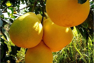 上海市办公室设计哪家好：完全轻松！告别手洗餐具，这种洗碗机让生活更省心,上海市办公室设计哪家好：完全轻松！告别手洗餐具，这种洗碗机让生活更省心,第3张