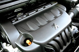 窗纱窗帘(窗纱窗帘的挂法图片),第1张 窗纱窗帘(窗纱窗帘的挂法图片),窗纱窗帘(窗纱窗帘的挂法图片),第1张