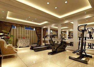 室内健身房(室内健身房设计效果图),第2张 室内健身房(室内健身房设计效果图),室内健身房(室内健身房设计效果图),第2张
