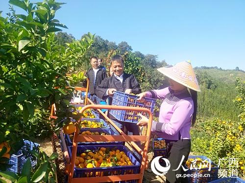 水果运输(水果运输轨道),第1张 水果运输(水果运输轨道),水果运输(水果运输轨道),第1张