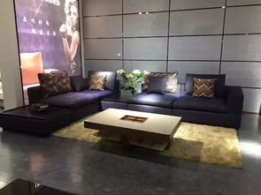 变色龙家私(变色龙家私是几线品牌),第1张 变色龙家私(变色龙家私是几线品牌),变色龙家私(变色龙家私是几线品牌),第1张